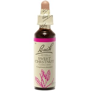FLORAL BACH SWEET CHESTNUT