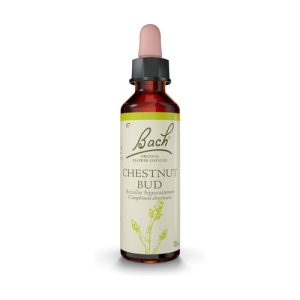 FLORAL BACH CHESTNUT BUD