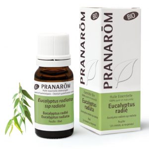 Pranarom Oleo Essencial Eucalipto radiata 10ML