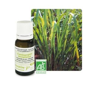 Pranarom Oleo Essenc Citronela Java10ml